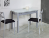 MESA DE COCINA PLEGABLE REFLEX  PARREÃO