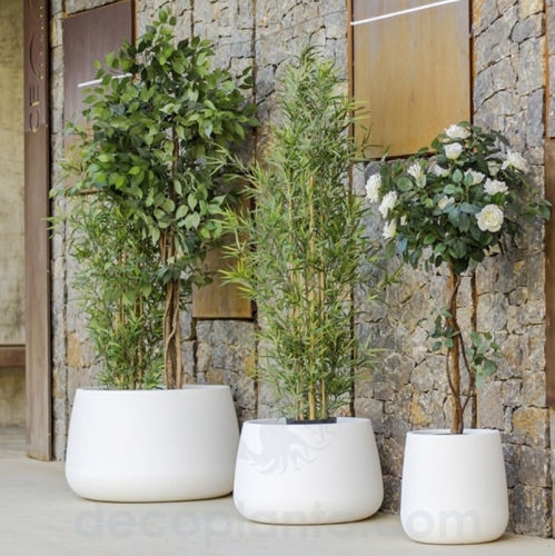 jardines contemporáneos

diseño de jardines modernos

DecoAlta Decoplanta

decoración de jardines premium

innovación en jardinería
comprar DecoAlta Decoplanta

accesorios de jardín premium online

diseño de jardines modernos para hogares

decoración exterior de lujo

soluciones de jardinería innovadoras



jardines minimalistas modernos

elegancia en exteriores

paisajismo contemporáneo

diseño exterior sofisticado

jardines de diseño exclusivo