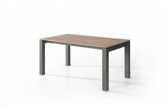 FANNY
EXTENSIBLE/FIJA