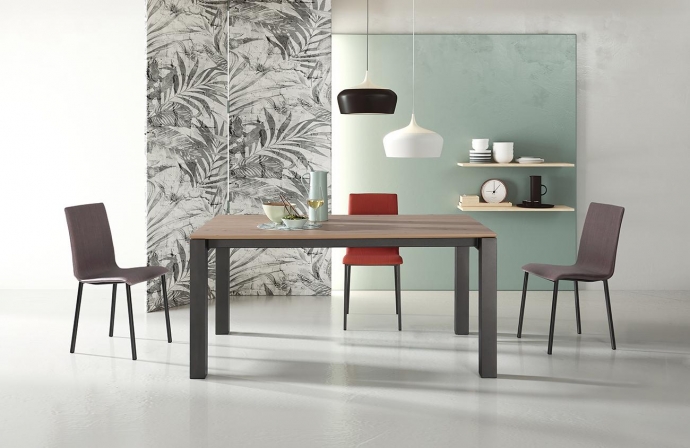 FANNY
EXTENSIBLE/FIJA