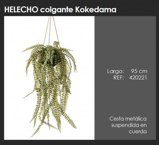 HELECHO COLGANTE KOKEDAMA  DECOPLANTA  420221