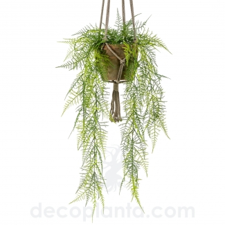 HELECHO PLUMOSO COLGANTE  DECOPLANTA  420808 EN STOCK