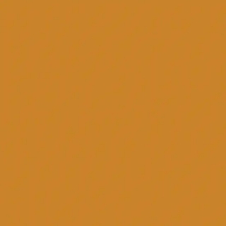 COLOR MOSTAZA