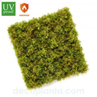 JARDÍN VERTICAL MUSGO  DECOPLANTA 426251	
