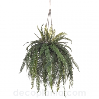 HELECHO DE PALMA  COLGANTE  DECOPLANTA