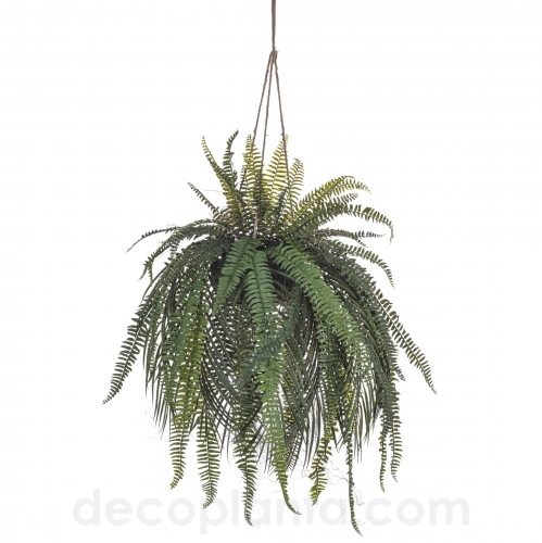 HELECHO PALMA  COLGANTE  UV DECOPLANTA