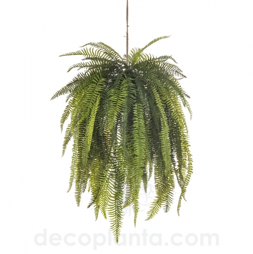 Helecho Colgante Decorativo Decoplanta 433851 – En Stock

helecho colgante artificial de techo

helecho colgante decorativo 140 cm

helecho artificial decoplanta 433851

planta colgante artificial en stock

comprar helecho colgante decorativo