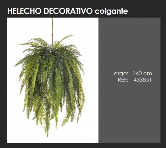 Helecho Colgante Artificial Decorativo Decoplanta 433851
Helecho Artificial Colgante Decorativo Decoplanta 433851

helecho colgante en stock

helecho artificial envío rápido

helecho decorativo precio

planta colgante artificial interior
