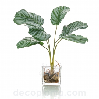 DECORACI&Oacute;N MINI CALATEA DECOPLANTA - EN STOCK