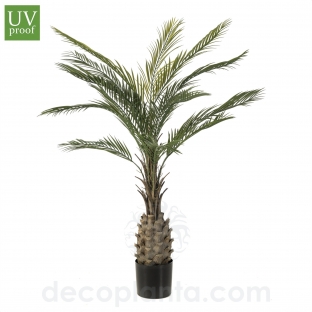 PALMERA EXOTIC UV DECOPLANTA 435040