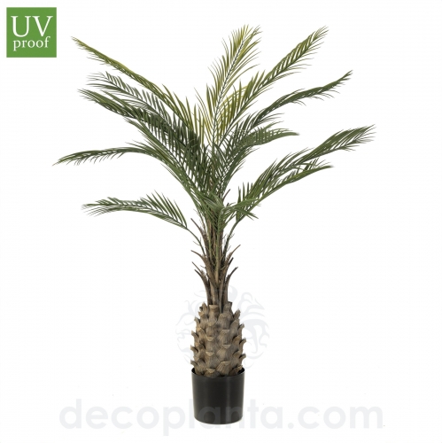 Palmera Exotic UV Decoplanta 435040

palmera artificial uv para exterior

palmera artificial resistente al sol y agua

palmera artificial exotic decoplanta 150 cm

palmera artificial decoplanta 435040

comprar palmera artificial exterior en stock