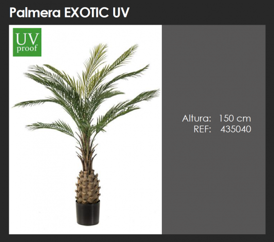 Palmera Artificial Exotic UV Decoplanta 435040
Palmera Artificial Exotic UV para Exterior – Decoplanta 435040
Palmera Exotic UV Decoplanta Ref. 435040
Palmera Artificial UV Exotic Decoplanta 435040 para Exterior

palmera artificial en stock

palmera artificial envío rápido

palmera artificial exterior precio

palmera artificial decorativa