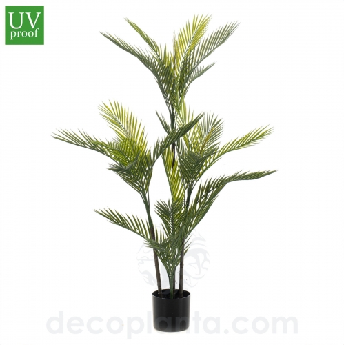 Palmera UV Decoplanta

palmera artificial uv para exterior

palmera artificial resistente al sol y agua

palmera artificial realista exterior

palmera artificial decoplanta en stock

comprar palmera artificial exterior