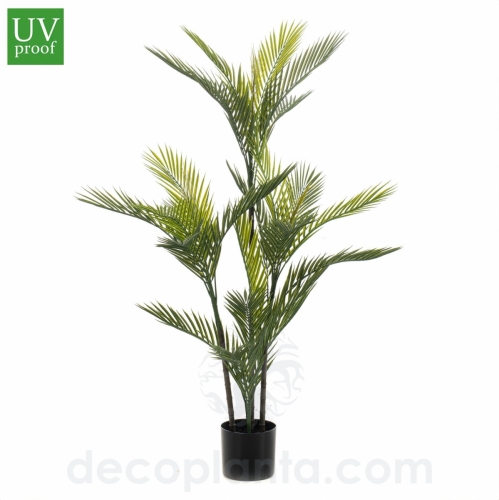 comprar plantas Decoplanta online

plantas decorativas Decoplanta para el hogar

jardineras Decoplanta para terraza